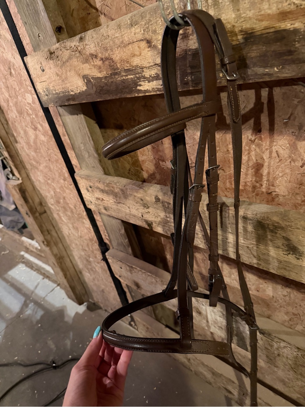 Brown Leather English Bridle - Classic Simple Design